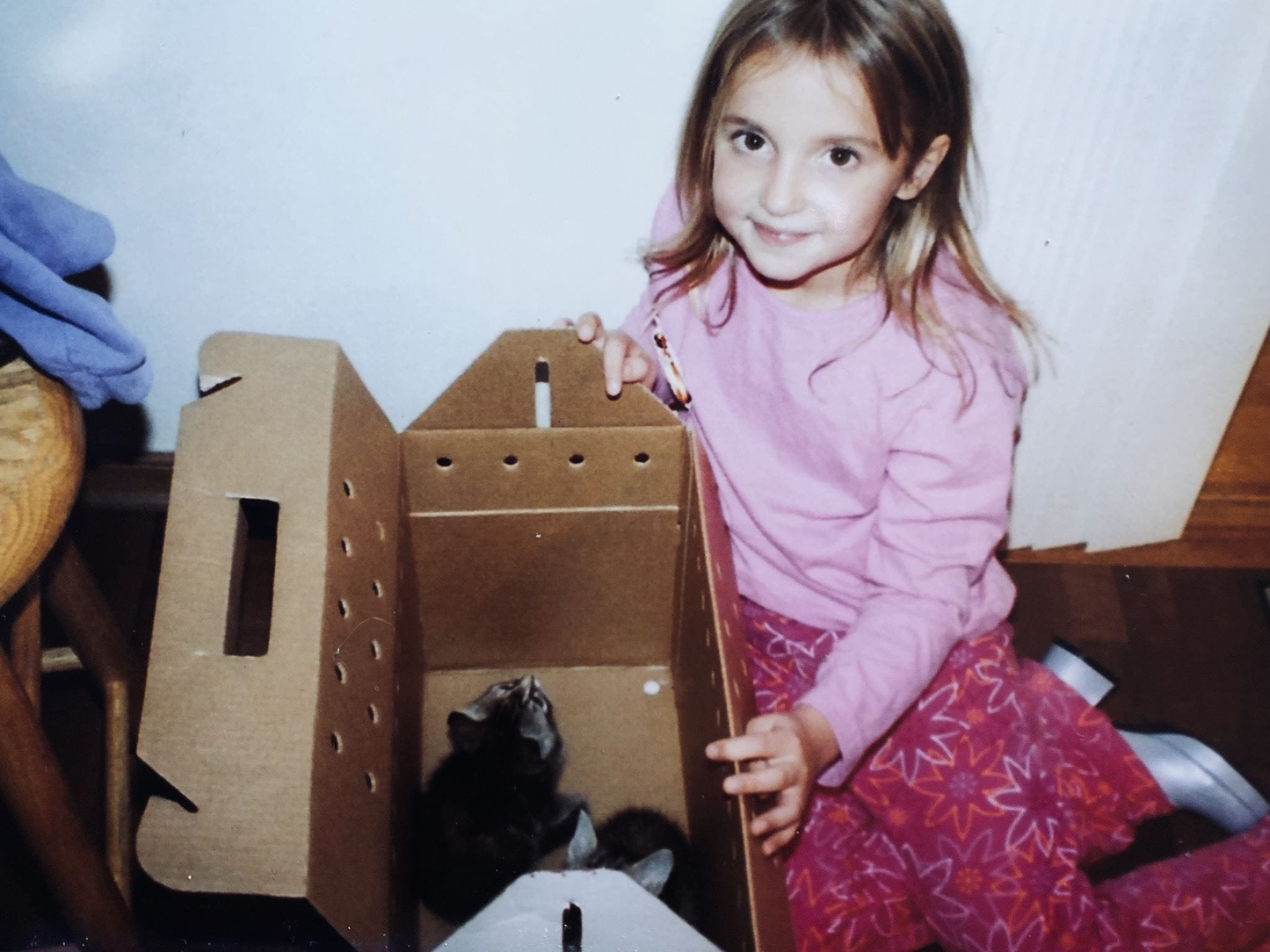 Minnesbilde av Odin, et kjært kjæledyr fra Askøy i Norge