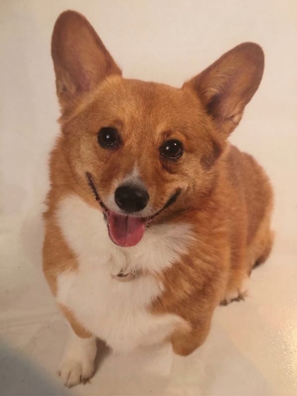 Penelope (Penny) Carlin