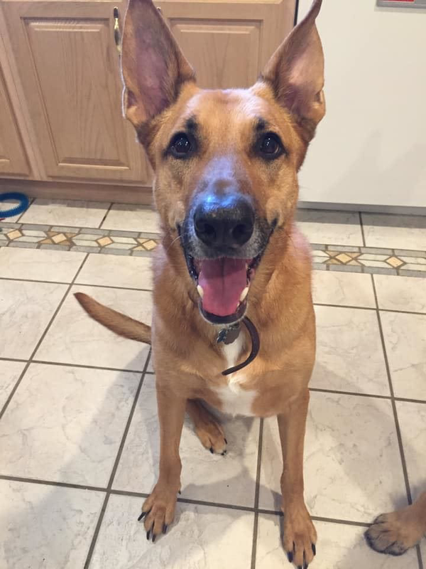 Leo