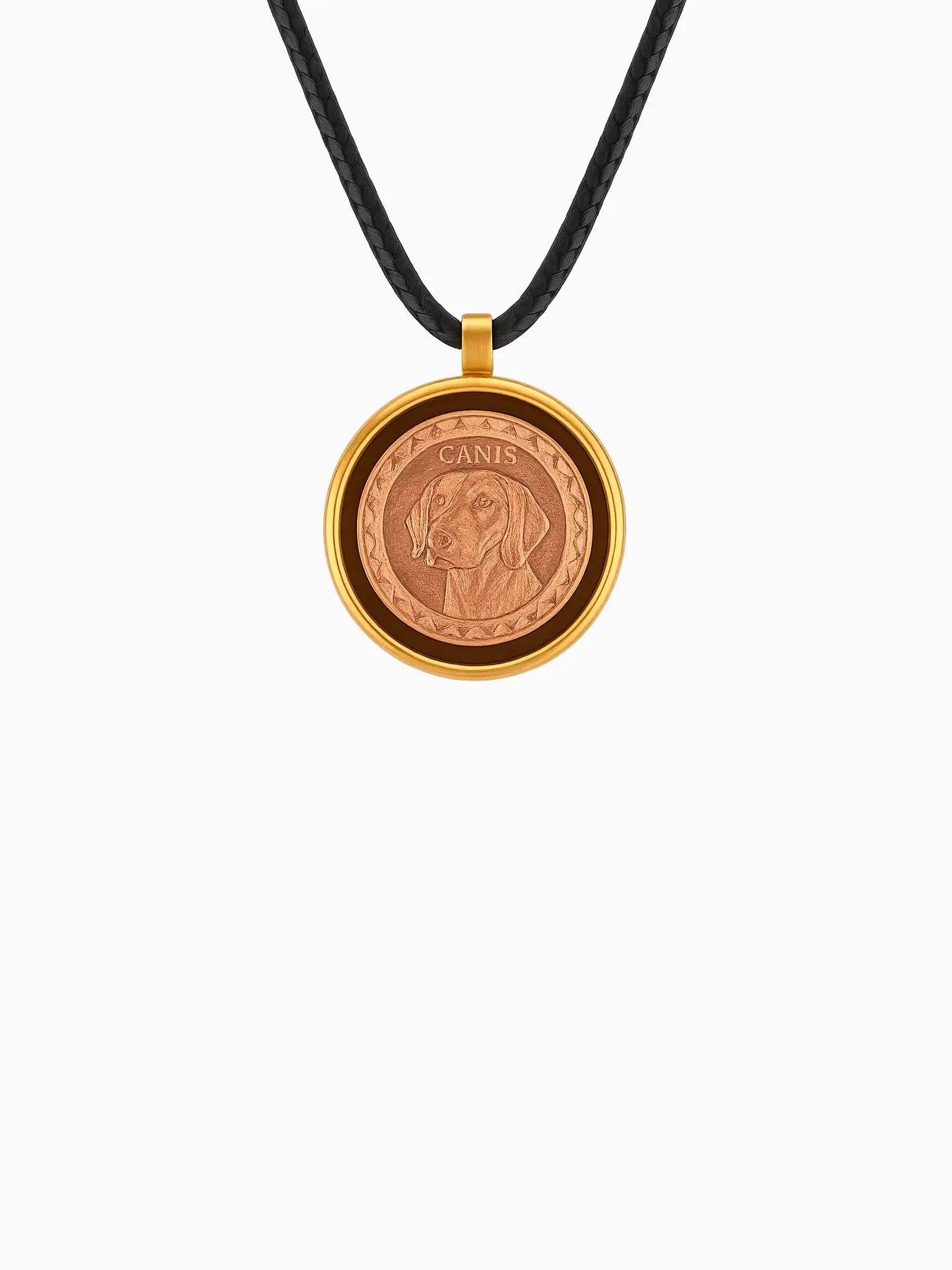 Samlemynt en Minnepote Coins med egenskaper av tilpassbar og designet av Minnepote