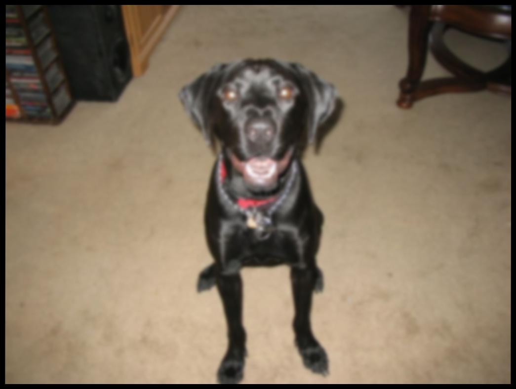 Minnbilde av Frøken Nupp 