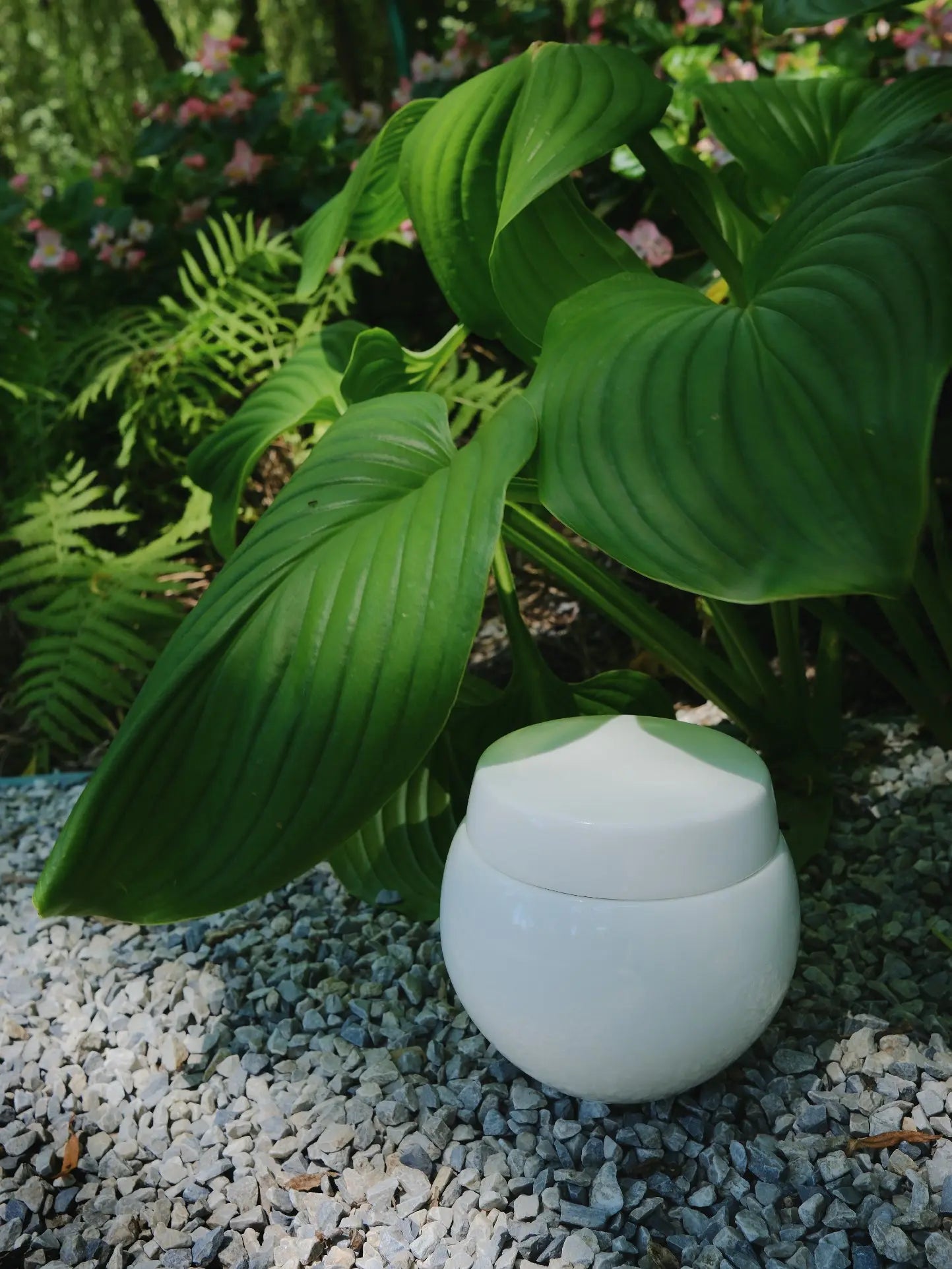 Lacrimosa en Minnepote Urne med egenskaper av keramikk og designet av Pet for Life