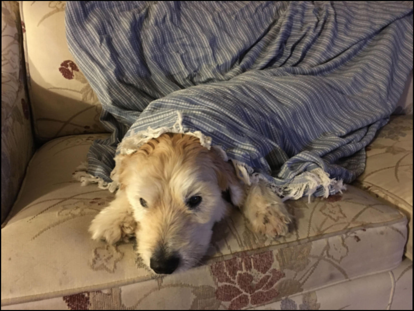 Minnbilde av Buster Naum Thomas 