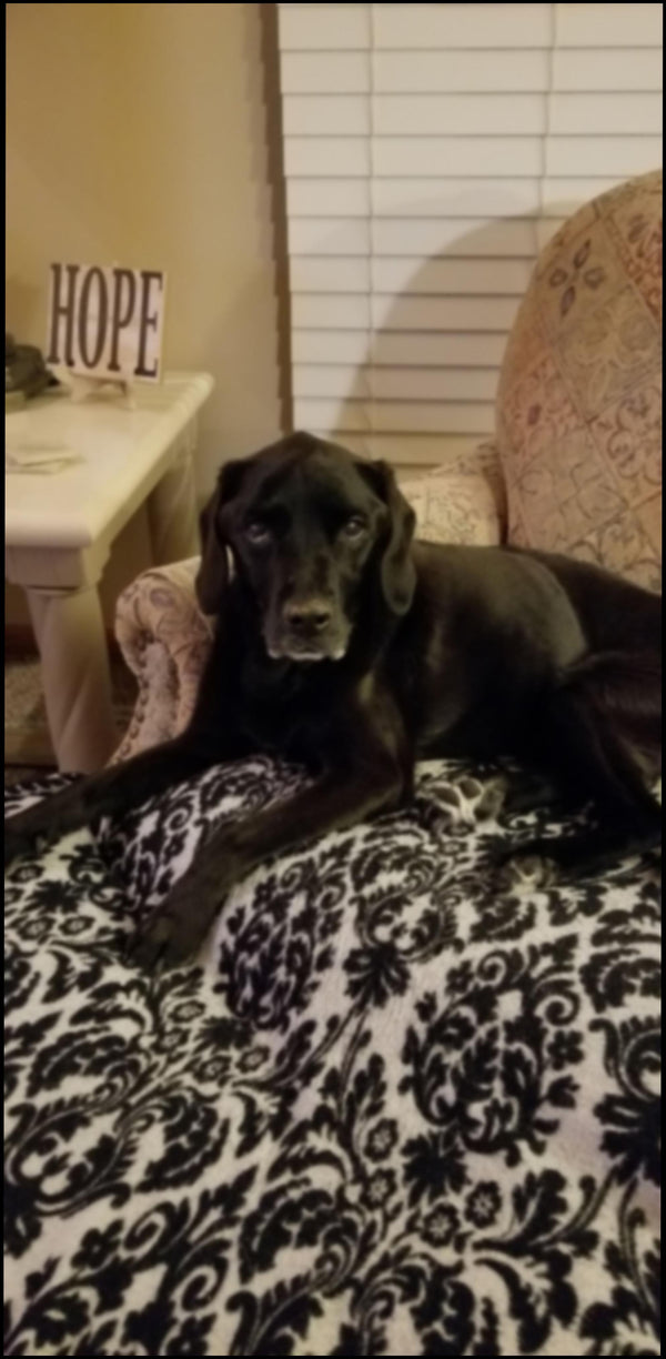 Molly