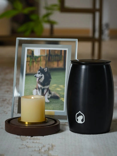Noir en Minnepote Urne med egenskaper av metall og designet av Pet for Life