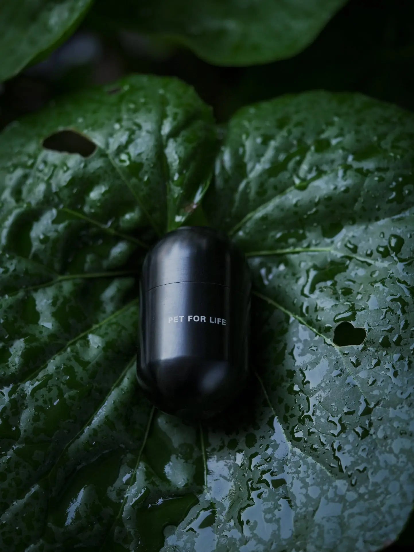 Tidskapsel en Minnepote Urne med egenskaper av Metall og designet av Pet for Life