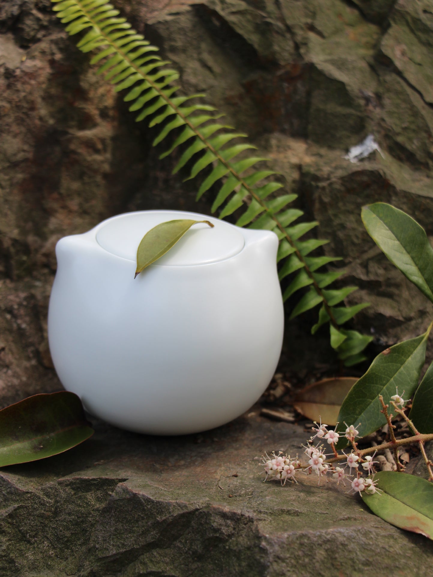 Hvit keramisk kjæledyrurne med blad på lokket plassert på stein blant grønne blader og små blomster