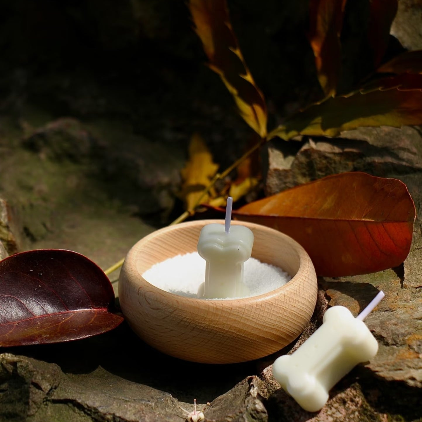 Hvitt hundebeinformet minnelys for kjæledyr stående i trebolle med sand ute blant stein og høstblader 1:1